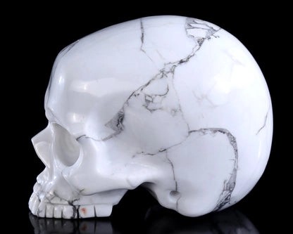 White Howlite Skull Craft