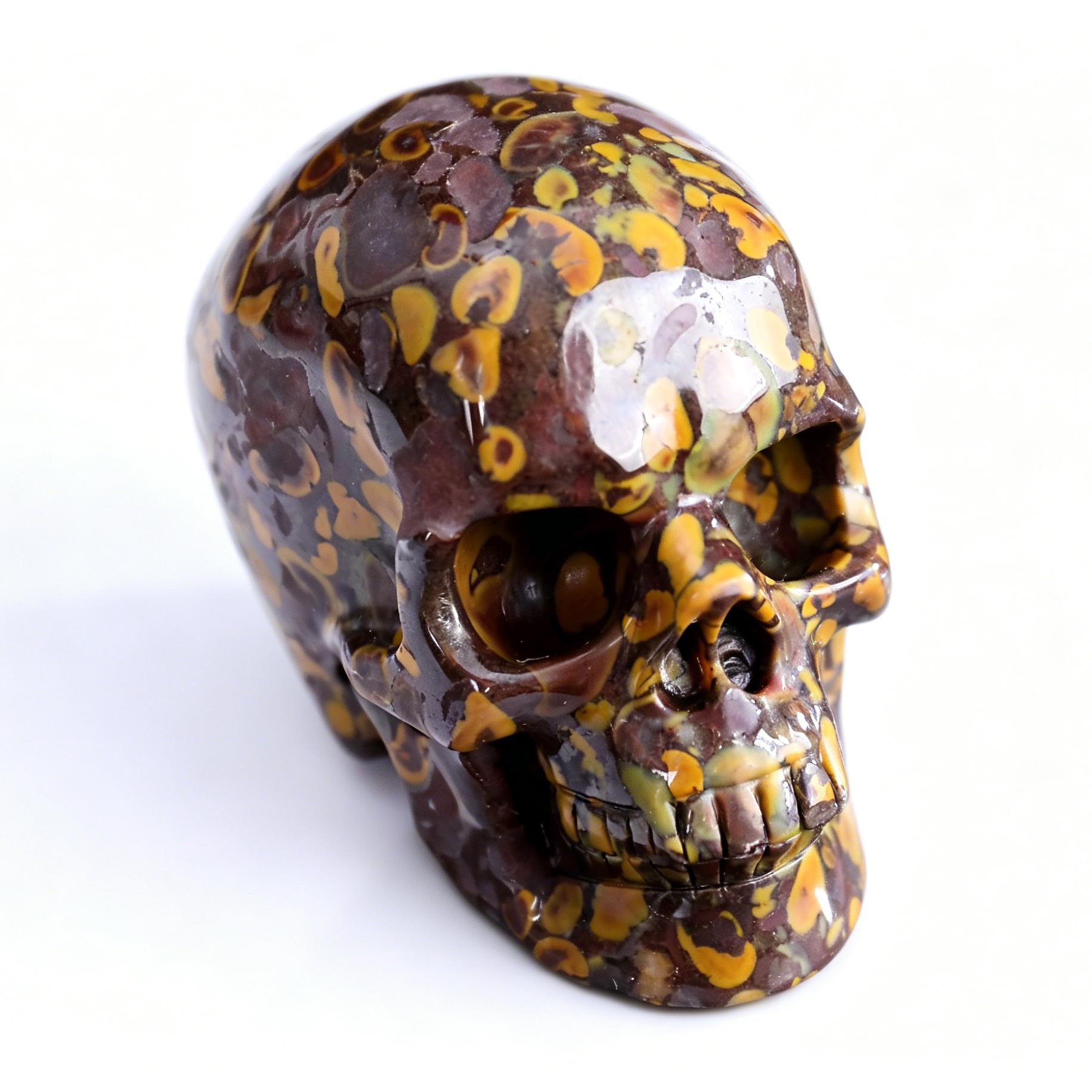 Factory Direct Oolite Skull Wholesale